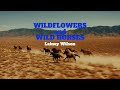 Lainey Wilson - Wildflowers and Wild Horses (lyrics)