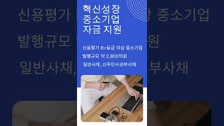 2024년 제2차 스케일업금융 발행계획 공고