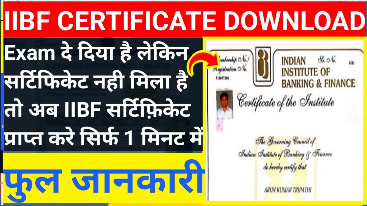 How To Download IIBF BC Certificate | IIBF Certificate Download Process ...