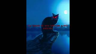 Missing hell - sushi soucy lyrics