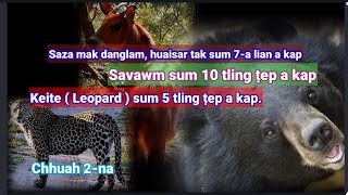 Saza mak, sum 7-a lian a kap; Savawm sum 10 dawna lian a kap: Pu Lalnuntluanga Tualpui khua kawmna-2