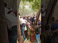 madariya pahad mela video short viral video