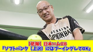 【悲報】日本ハムOB「ソフトバンク（上沢）にはブーイングしてOK」 なんJ #なんG #プロ野球なんG #プロ野球まとめ #プロ野球なんJ #5ch #2ch】