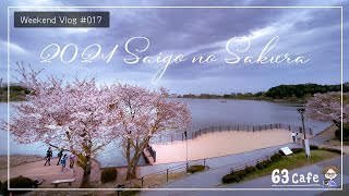 【Vlog#017】2021年最後の桜を千波湖で見て堪能してきた　桜見納め