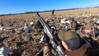 SILENCED Duck, Goose and Pigeon Hunting in Kansas!!