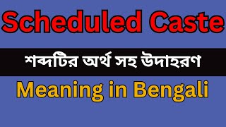 Scheduled Caste Meaning In Bengali /Scheduled Caste mane ki