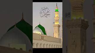 molana tariq jameel#youtube #viral #ytshorts #islam #islamic
