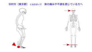 症状別解説6｜瞳孔反射の鈍り・光の波長の乱れ｜TH東洋総合治療センター（整体・鍼灸・カイロ）｜羽村市（東京都）