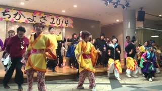 総踊り「和歌山最高！」　ちかよさ2014