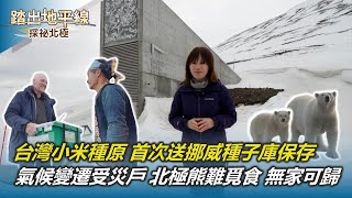 全球暖化 北極億萬年冰川消融 面積消失40%｜氣候變遷受災戶 北極熊覓食困難 恐無家可歸｜台灣小米種原 首次送挪威末日種子庫保存｜踏出地平線｜陳雅琳｜華視新聞 20240721