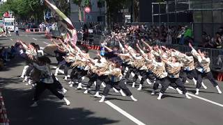 岐阜聖徳学園大学 柳　2019YOSAKOIソーラン祭り6/9(日)　大通パレード会場 (南コース)