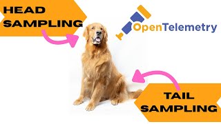 OpenTelemetry Head and Tail Sampling: EVERYTHING you need to know!