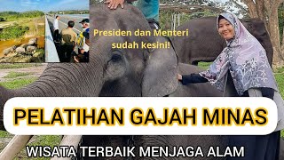 PELATIHAN GAJAH MINAS | PRESIDEN RI SUDAH KESINI! | WISATA DAN HEALING TERBAIK RIAU | INDONESIA