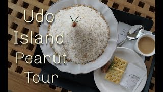 Jeju Island Food Guide - Udo Island Peanut Tour