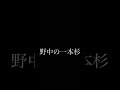 【相場の格言】野中の一本杉 shorts