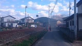 The C56-160 steam engine on the Yamaguchi Line / 山口線を走るC56-160号