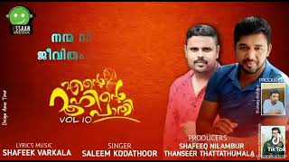 നല്ലൊരു വാക്കു പറഞ്ഞു പിരിഞ്ഞു. കൂടേ Nalla oru vakke paraju piranjude Saleem Kodathoor new status