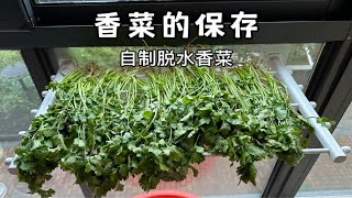 会用微波炉让你强大到可怕，香菜的保存：冰箱冷藏保鲜那就不用说了啊，但是保不了多久的，我分享的是其他方法让你实现香菜自由 自制香菜干 微波炉的使用入门