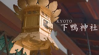 【 下鴨神社 】　4K  KYOTO  JAPAN　[ Kyoto Vlog #55 ]