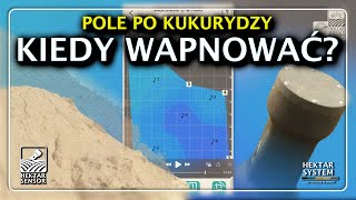 POLE PO KUKURYDZY | KIEDY WAPNOWAĆ? |  HEKTAR SENSOR