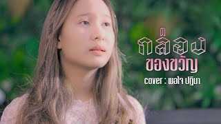 กล่องของขวัญ -  น้องพอใจ สิงห์มิวสิค  【Cover Version】