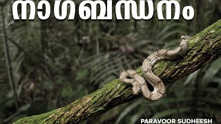 നാഗബന്ധനം/Nagabandhanam/Astrologer Paravoor Sudheesh / 6238 999 670