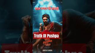 लाल चन्दन की लकड़ी और पुष्पा मूवी का सच The truth of pushpa movie #shorts #pushpa #mystery #indian