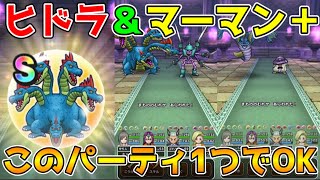 【ドラクエウォーク】ヒドラ＋マーマン＋祠超安定オート攻略！！このパーティ1つで両方OK！！