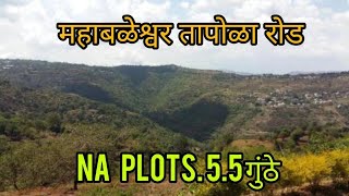 NA Plot's महाबळेश्वर - तापोळा रोड ,सावरी गाव