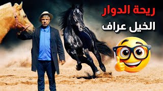 ريحة الدوار بعنوان الخيل عراف #ريحة_الدوار #riht_douar #ريحة_البلاد