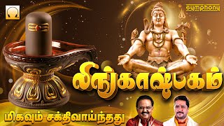 லிங்காஷ்டகம் | எஸ்.பி .பாலசுப்ரமணியம் | ஸ்ரீஹரி | சிவன் பாடல்கள் Lingashtakam tamil S.P.B Srihari