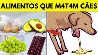 18 alimentos Comuns FATAIS para seu Cachorro