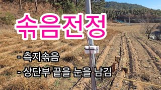 상단 절단 및 솎음전정