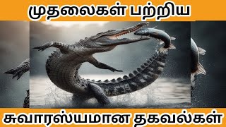 முதலைகள் பற்றிய சுவாரஸ்யமான தகவல்கள் | interesting facts about crocodile in tamil