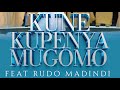 Celestial Chorus Vol. 2 - Kune Kupenya Mugomo (ft. Rudo Madindi)