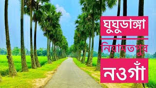 ঘুঘুডাঙ্গা | নিয়ামতপুর, নওগাঁ | তাল সাম্রাজ্য | Ghughudanga | Niamatpur, Naogaon #nature