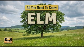 Elm Tree | All You Need To Know About