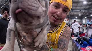 BWA ANTHEM BULLY BASH5 \