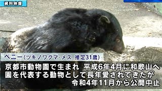 ツキノワグマ・ベニーよ安らかに　おととい天国へ旅立つ　和歌山城公園動物園