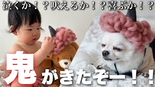 【鬼が来た！？】鬼が来た時の赤ちゃんと犬の様子が・・・【節分】