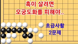 흑이 오궁도화 형태를 방지해야 살수 있습니다/사활문제(난이도-하)/정든바둑