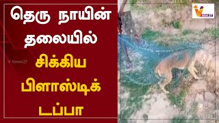 தெரு நாயின் தலையில் சிக்கிய பிளாஸ்டிக் டப்பா | Pondicherry | Dog