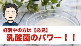 【必見】妊活中にオススメな乳酸菌！！【岩手県盛岡市 不妊治療】