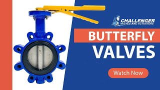 Butterfly Valves Overview