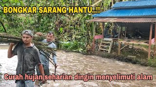 BONGKAR SARANG HANTU..!! MANFAATNYA UNTUK PEKEBUN