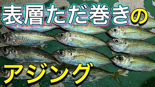 【釣り】アジングの定番ジグ単で表層のアジを狙う