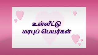 மரபுச் சொற்கள் | உள்ளீட்டு மரபுப் பெயர்கள் | Arumbu