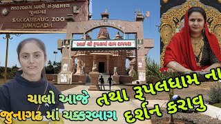 ચાલો આજે તમને જુનાગઢ ચક્કરબાગ તથા રૂપલ આઈ રામપરા ના દર્શન કરાવુ  | Dhamu ahir vlogs