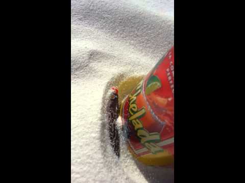 What is another term for wind erosion?
