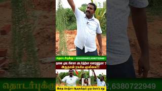 இதை செஞ்சா ஆயுசுக்கும் தலை முடி கொட்டாது #health